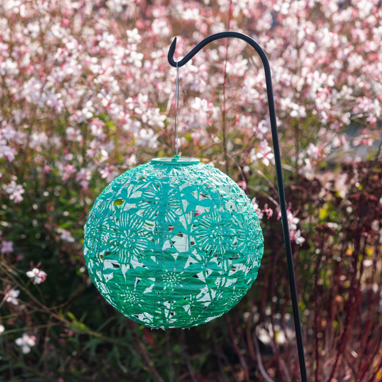 Soji Stella - Globe Sunflower - 12