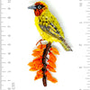 Cape Weaver Brooch Pin