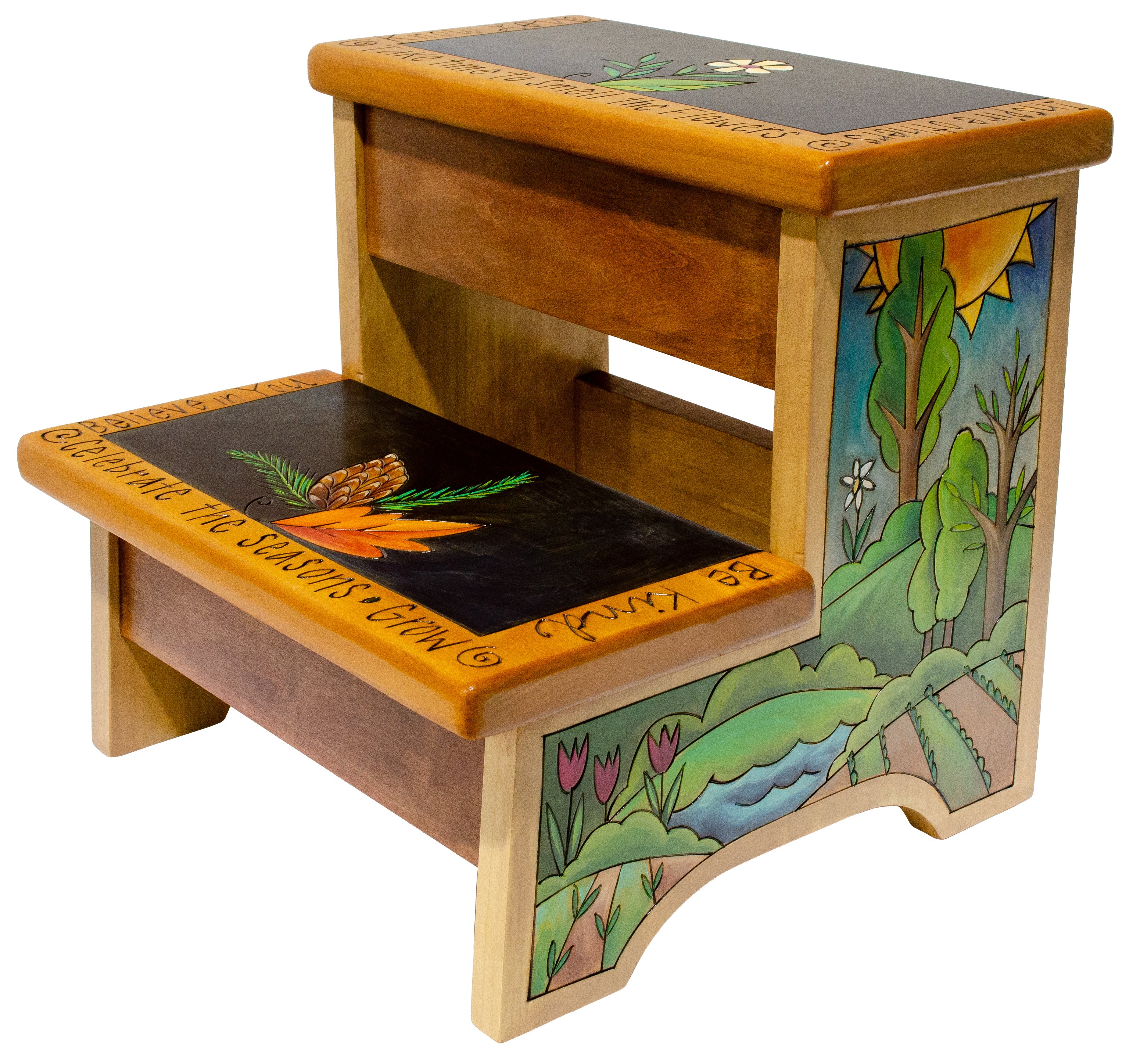 Double Step Stool