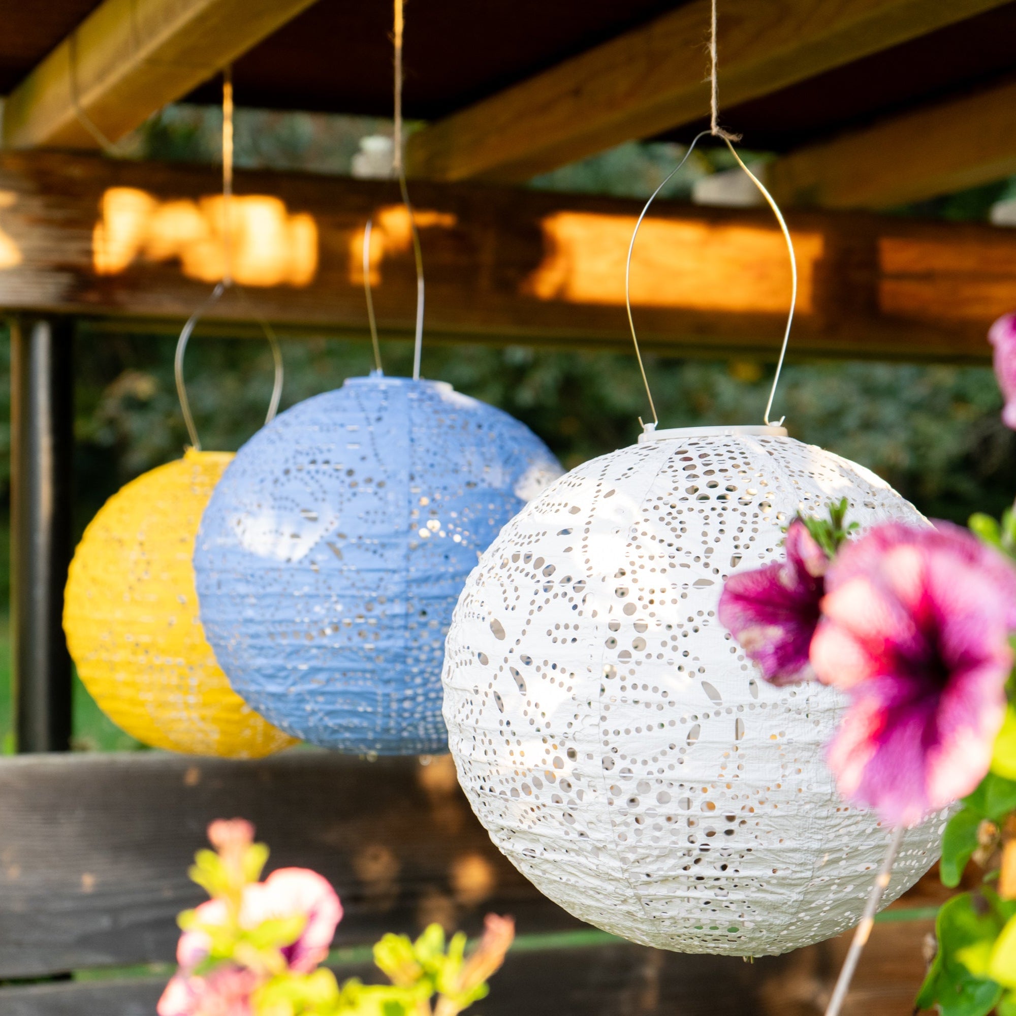 Soji Stella - Monstera - 12