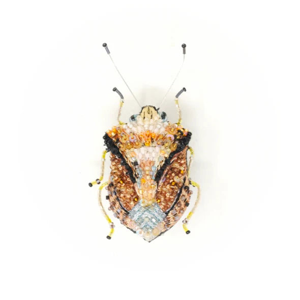 European Shield Bug Pin