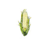Field Corn Brooch Pin
