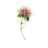 Globe Amaranth Brooch Pin