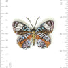 Glorious Purplewing Butterfly Brooch Pin