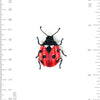 Lucky Lady Beetle Brooch Pin
