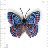 Red-Spotted Admiral Butterfly Brooch Pin