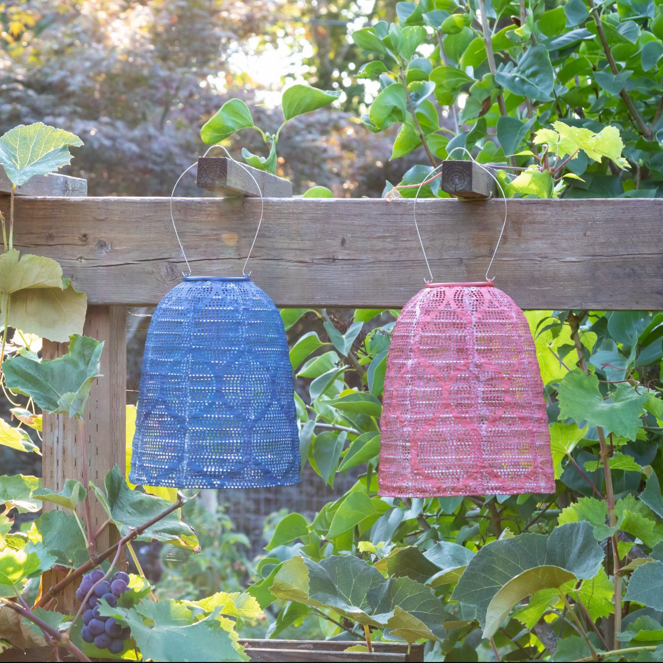 Soji Stella - Bell - 11