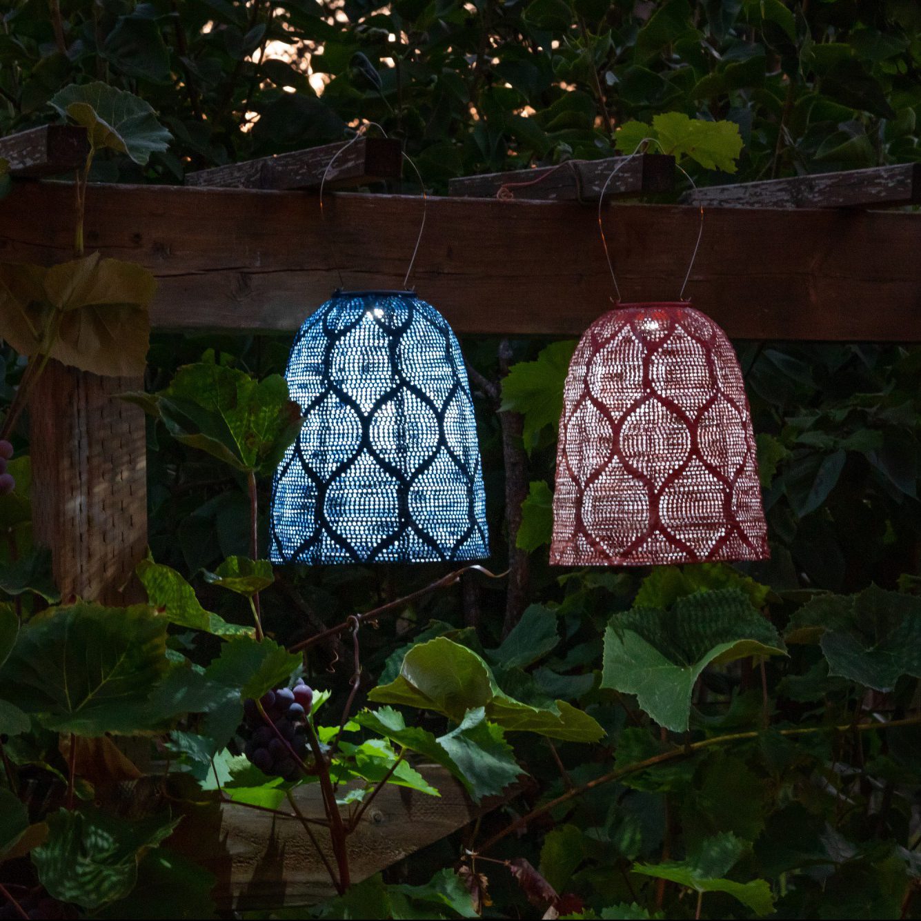 Soji Stella - Bell - 11