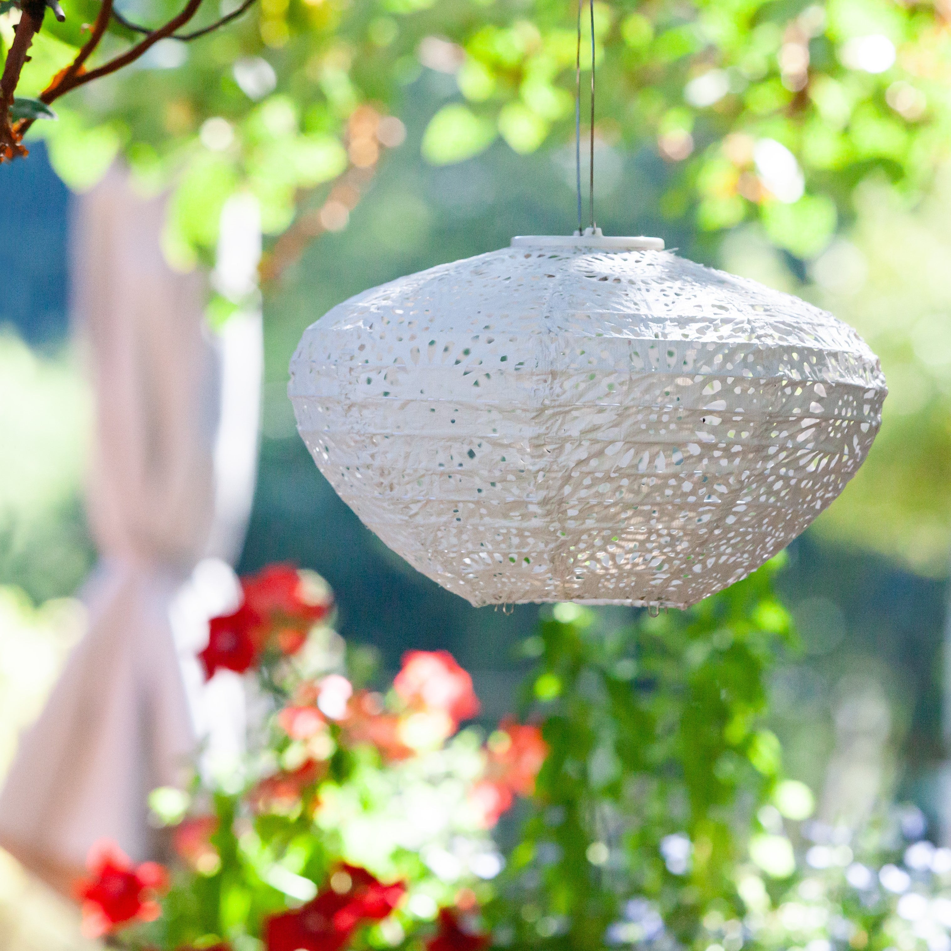 Soji Stella - Crown Chantilly Lace - 13