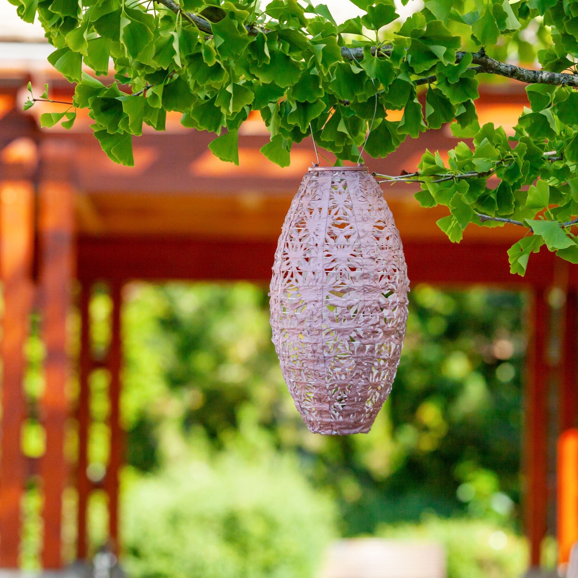 Stella Pastel Multi Shape 3-pack (Save $19)