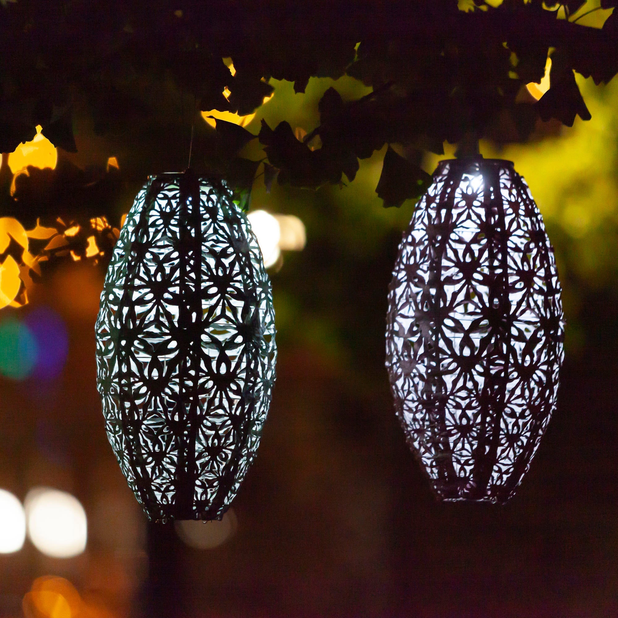 Soji Stella - Wildflower Pod - 15