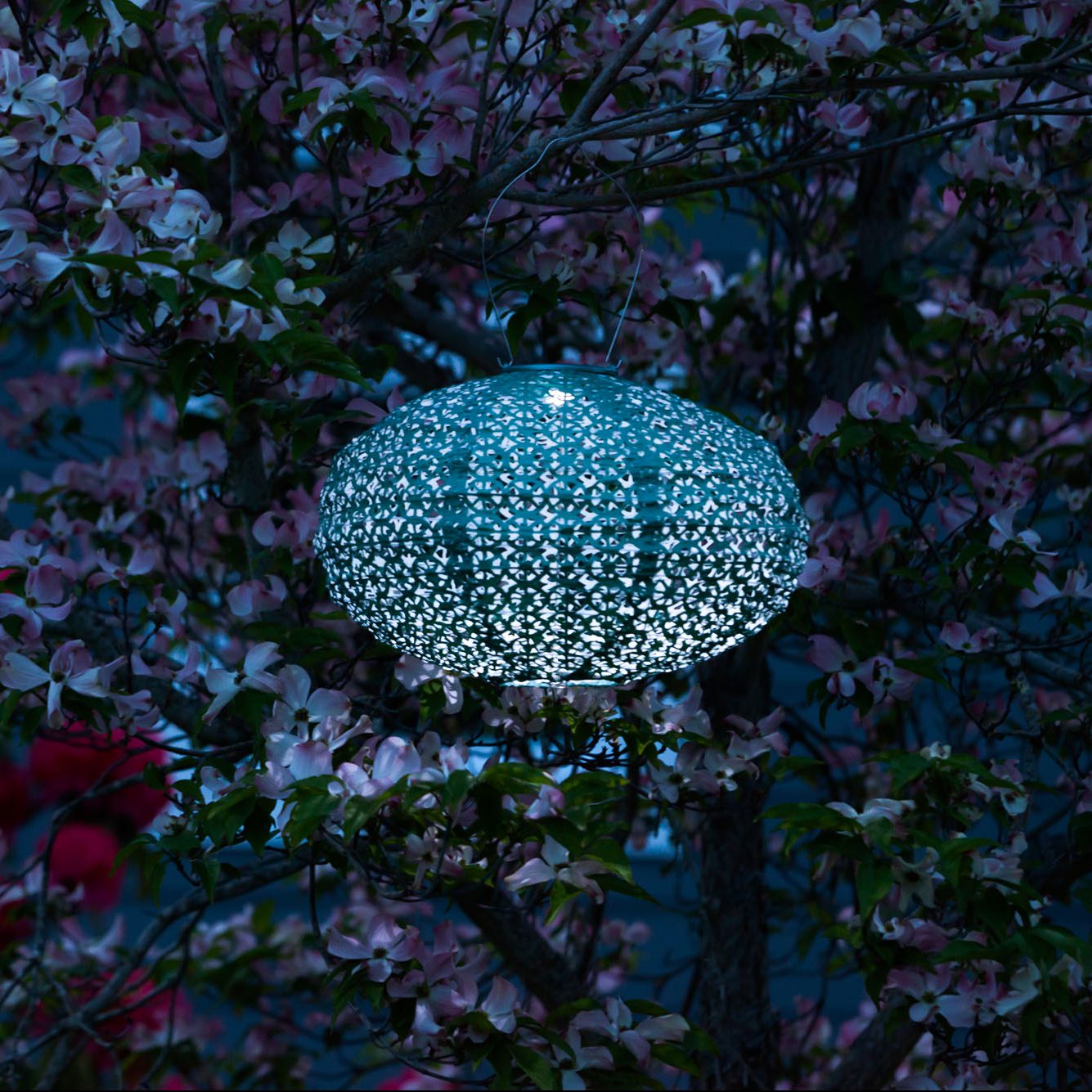 Soji Stella - Oval - 14