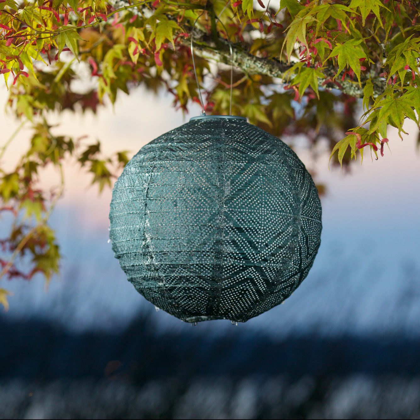 Soji Stella - Market - 12