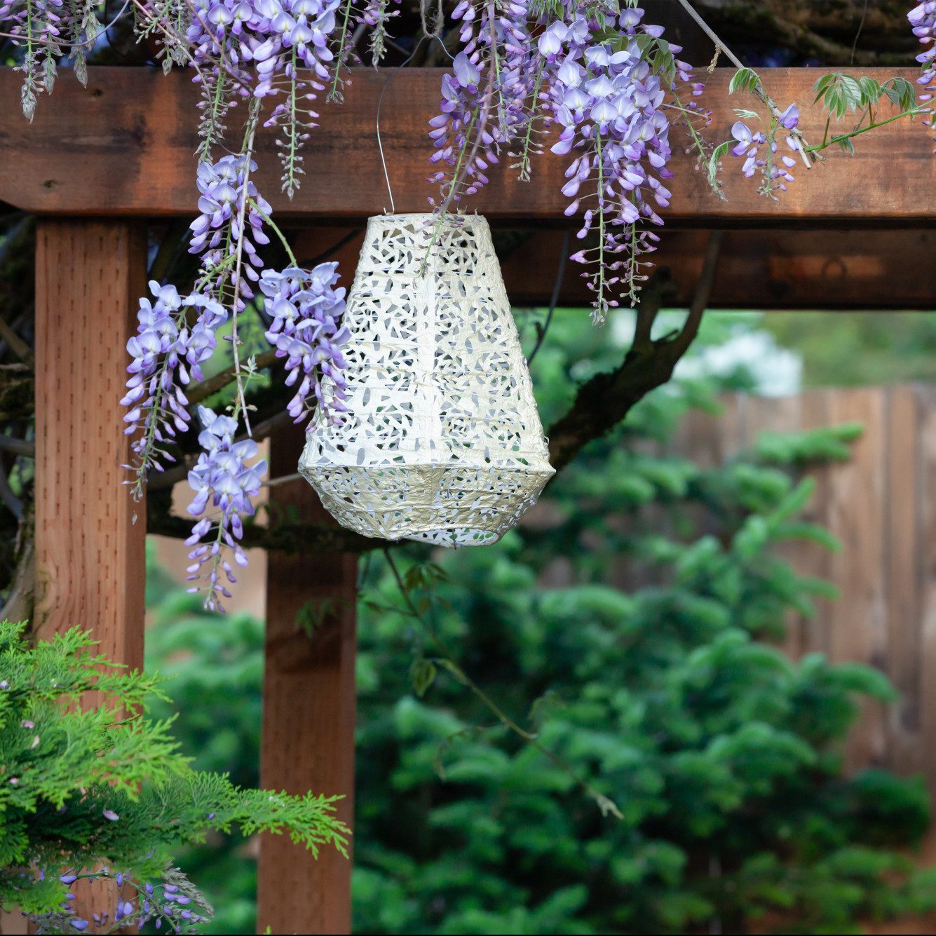 Soji Stella - Prism - 11