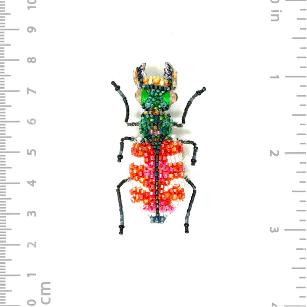 Tiger Beetle Brooch Pin