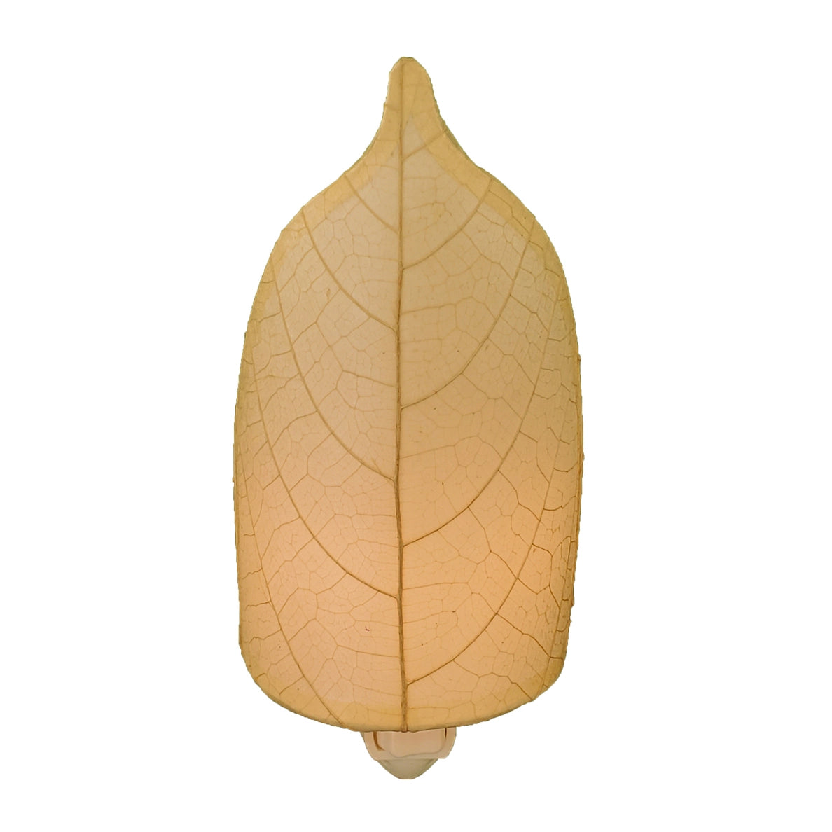 Leaf Nightlight [Assorted Colors]