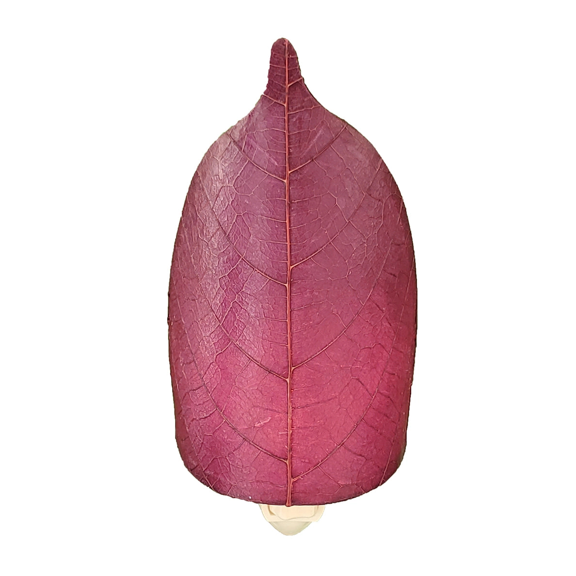 Leaf Nightlight [Assorted Colors]