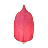 Leaf Nightlight [Assorted Colors]