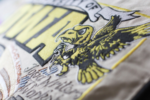 University of Iowa Hand-Embroidered Pillow -  This original design celebrates the University of Iowa. Go Hawkeyes!